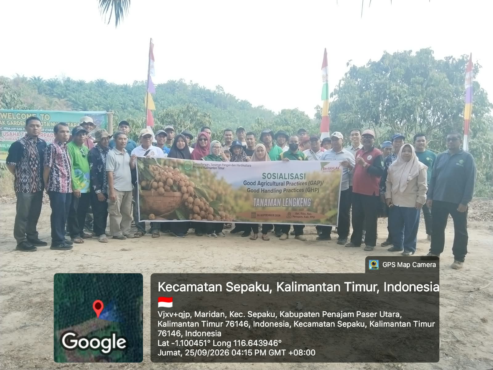 Dorong Lengkeng Lokal Naik Kelas