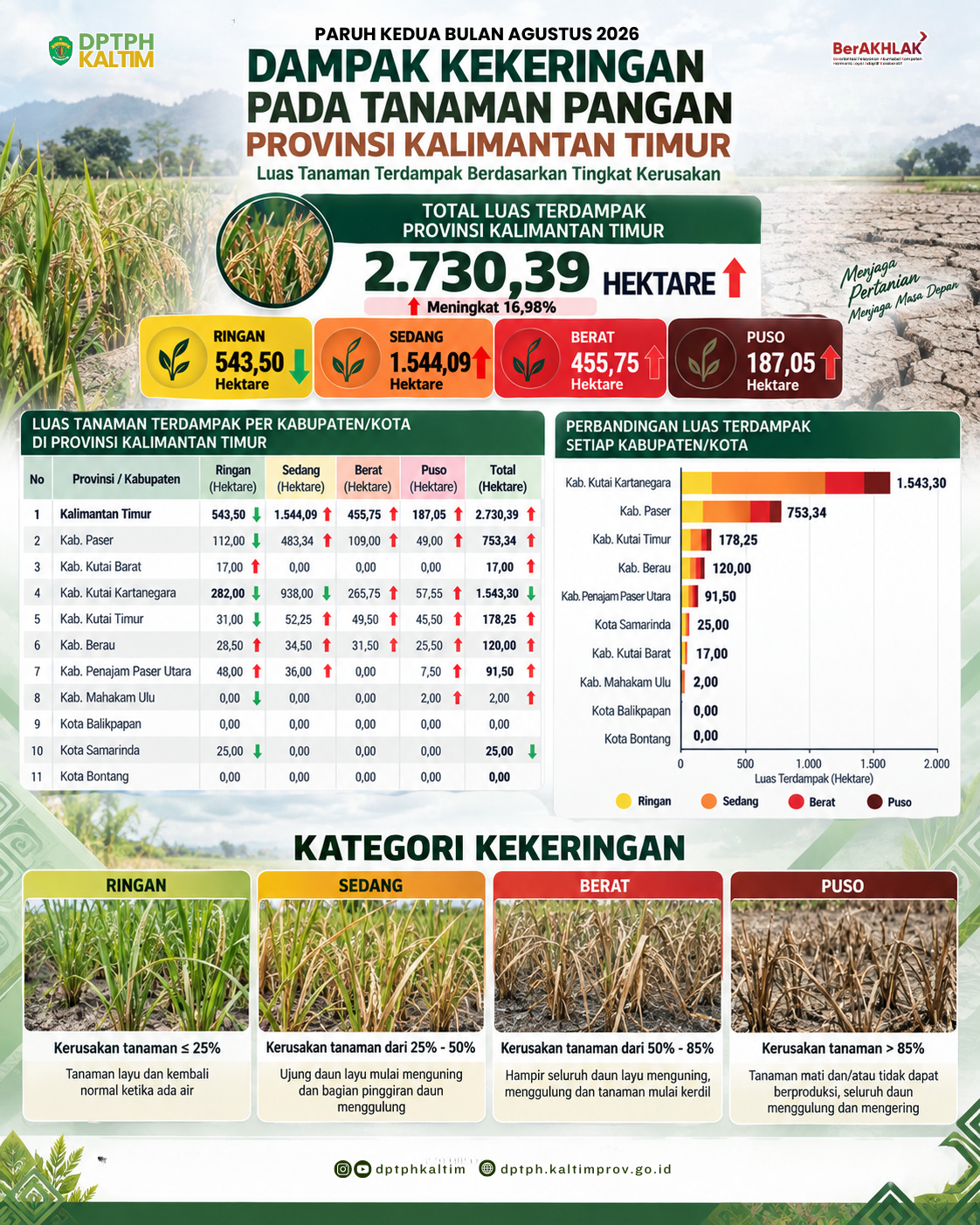 Infografis