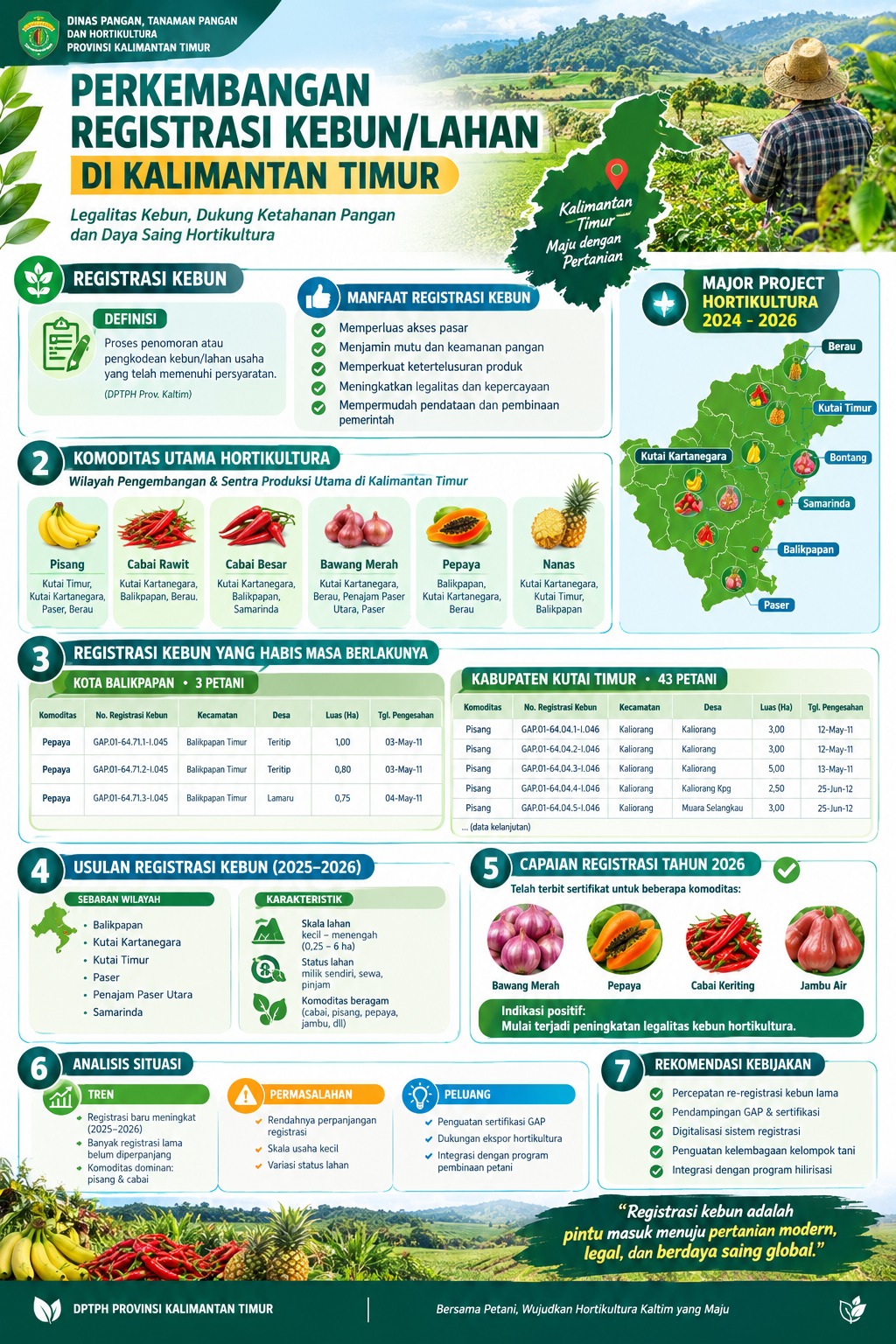 Infografis