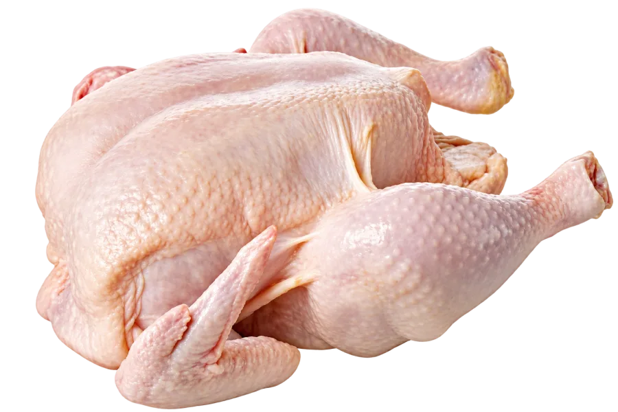 Daging Ayam Ras