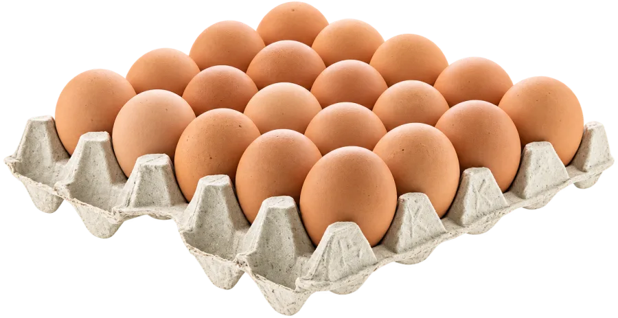 Telur Ayam Ras