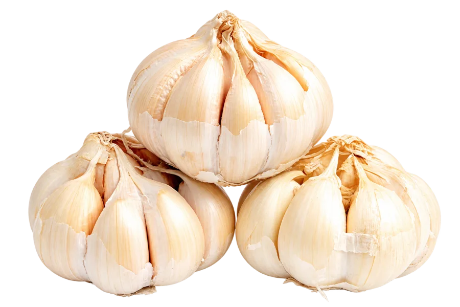 Bawang Putih Bonggol