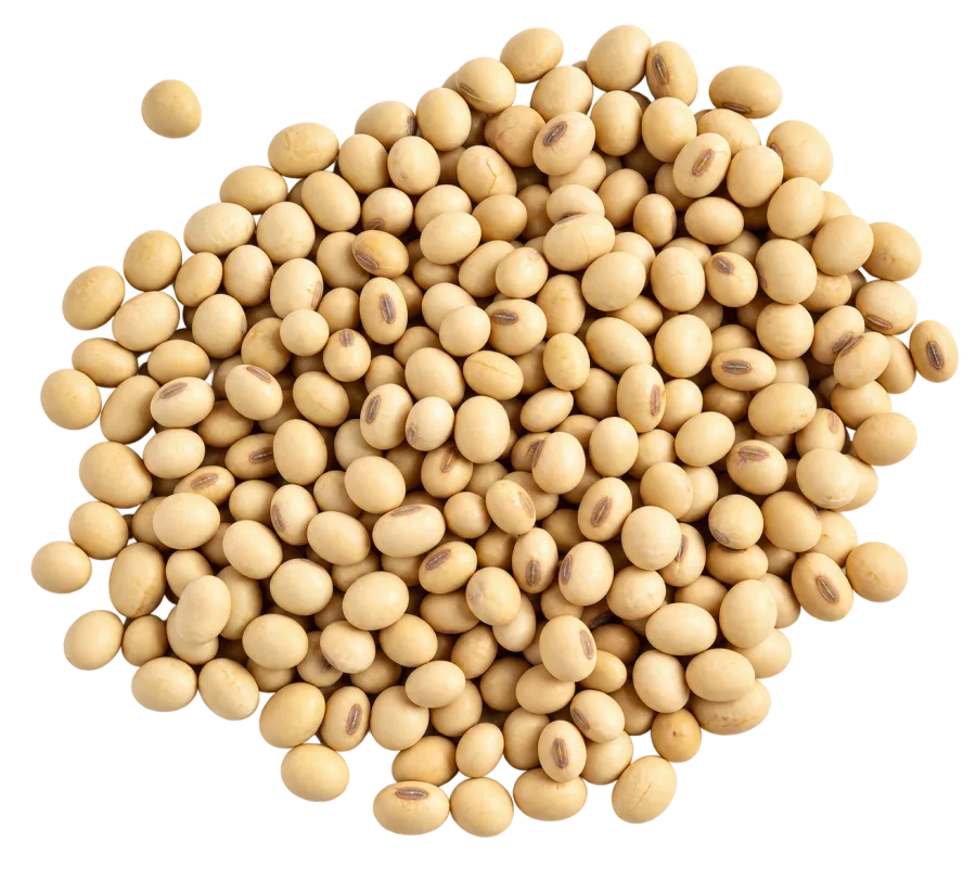 Kedelai Biji Kering (Impor)